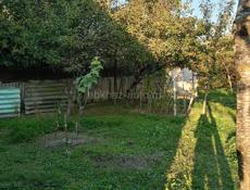 Хороший ровный участок со стронием и фруктовым садом .