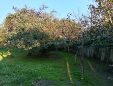 Хороший ровный участок со стронием и фруктовым садом .