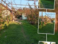 Хороший ровный участок со стронием и фруктовым садом .