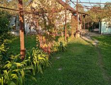 Хороший ровный участок со стронием и фруктовым садом .