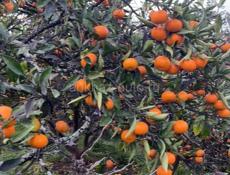 Земельны участок