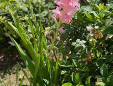 Сдаются номера со всеми удобствами 