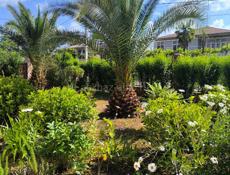 Сдаются номера со всеми удобствами 