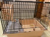 Джунгарский хомячок с клеткой