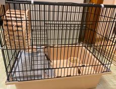 Джунгарский хомячок с клеткой