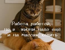 Лечебно-оздоровительный массаж