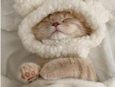 Лечебно-оздоровительный массаж