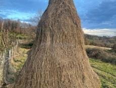 Продаётся сена 