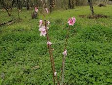 Продаётся земельный участок 