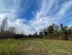 Срочно продаю участок в Гудауте,по центральной трассе 