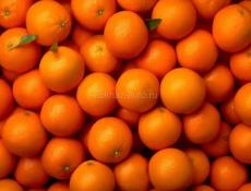 Ищу сад с мандаринами 