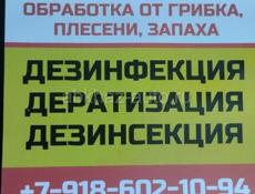 Уничтожение всех видов насекомых, грызунов, плесени