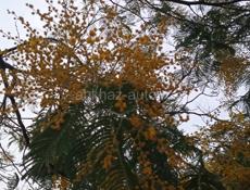 Наведу чистоту и порядок вашего пространства