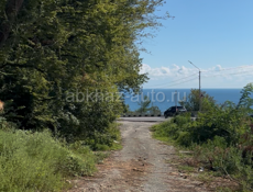 Участок перед Гагрой 