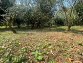 Продажа в центре! 