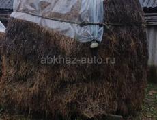 Продаю Сено 