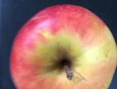 Участок 6 соток г. Сухум 