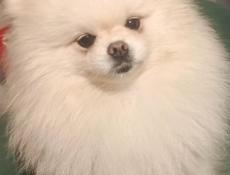 ишит подругу