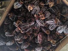 Продаю сушёную хурму