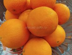 Продаю апельсины