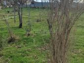 Продам участок рядом с границей