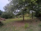 Земельный участок!