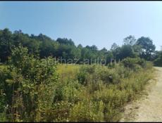 Участок 20 сот 