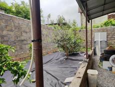 Дом в Сухуме 