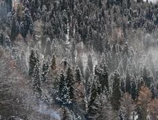 куплю 16про-17про