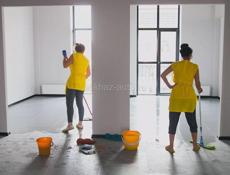 Уборка квартиры и дамов по вызову 