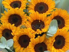 1 гектар под бизнес