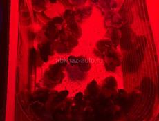 Продаются цыплята и петухи 