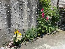 Продаются 2 дома с отдельными участками 10 сот и 4,5 сот (Виэм)