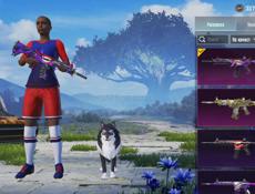 Продаю срочно аккаунт в пабг 