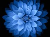 Ищу работу срочно