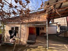 ‼️СРОЧНО‼️