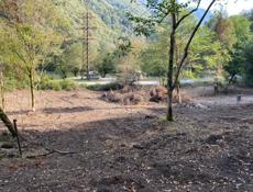 24 сотки по дороге на Озеро Рица 