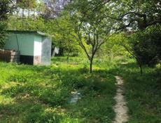 Продам дом в Дранде на участке 25 соток