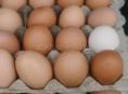 Домашние яйца 