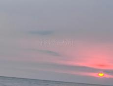 Сдам квартиру до июня 