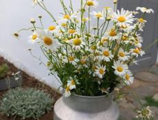 Двухэтажный коттедж