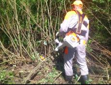 ЧИСТКА УЧАСТКОВ