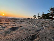 Продаю двухэтажный дом с садом 