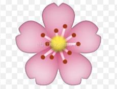 Продавец со сменным графиком. 