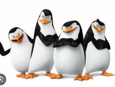 !!!