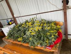 Продаю миомозу 