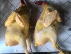 Чищенные куры