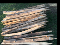 Колышки по 300₽ связь 9961888