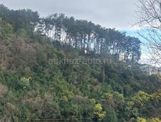 6 сот в г.Гагра с домиком 