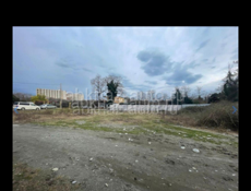 Продаю участок в Пицунде , 6 соток. 